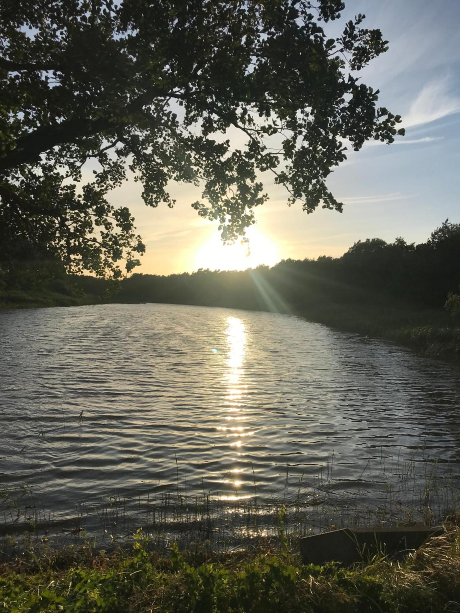Apartmán Sonnenwind Prerow Exteriér fotografie