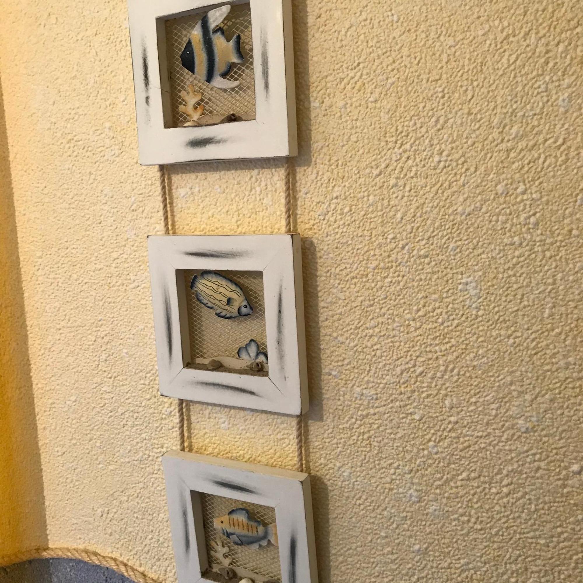 Apartmán Sonnenwind Prerow Exteriér fotografie